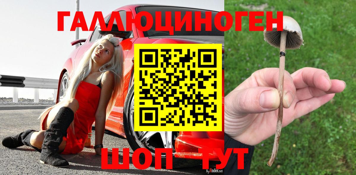 Улан-Удэ  хочу наркоту  Вход с VPN  Галлюциногенные грибы Psilocybine cubensis  Галлюциногенные грибы Psilocybine cubensis 